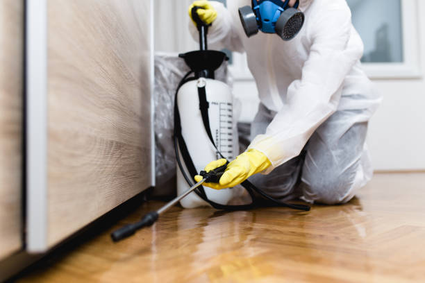 Best Pest Control for Homes  in Huntgburg, IN