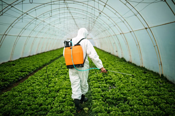 Best Pest Control Near Me  in Huntgburg, IN