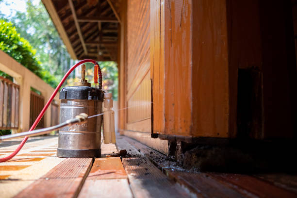 Pest Prevention Services in Huntingburg, IN