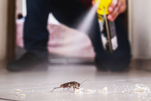 Best Pest Control Treatment  in Huntgburg, IN
