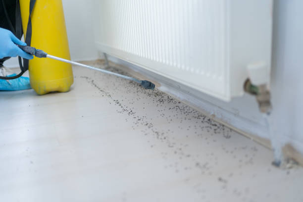 Best Mosquito Control Services  in Huntgburg, IN