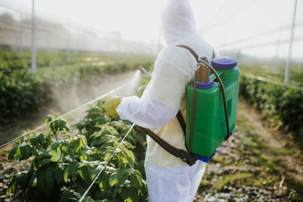 Best Flea Control Services  in Huntgburg, IN